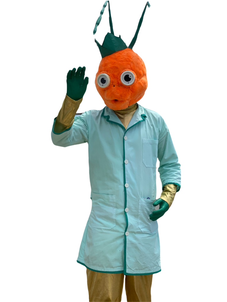 hormiga-quoking-mascota-cocina-educativa-bogota.jpg